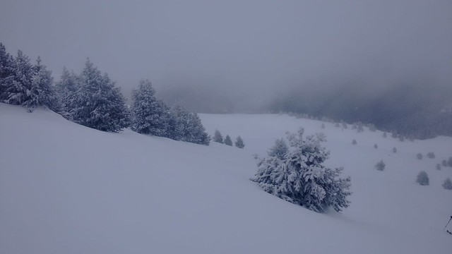 IMG-20190202-WA0058