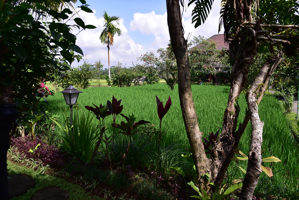 Bliss Spa & Bungalow