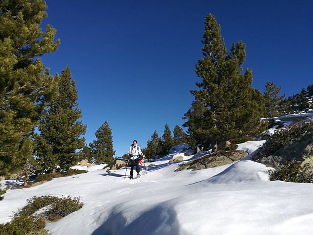 IMG-20181206-WA0053