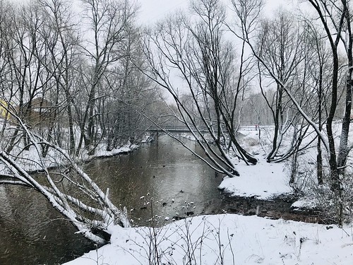 bridge ducks mobilephotography snow iphone7 river winter landscape