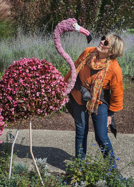 Kathleen meets a topiary flamingo