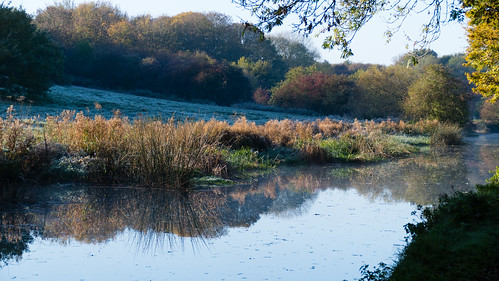 First frost of autumn: canal at Compton