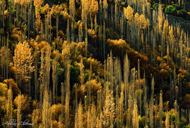 Autumn at Gilgit Baltistan, Pakistan