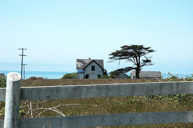 Empty seaside house, fence, grass, Pacific coast, power lines, trees, California, USA