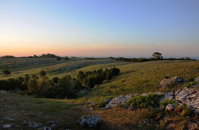 20180529-017F | Landschaft auf Stora Karlsö im Morgenlicht. Gotland/Schweden, 29.05.2018