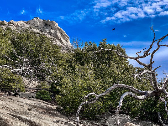 Look closely and you will see hikers at the very top of Stonewall Peak, Cuyamaca Rancho State Park, California