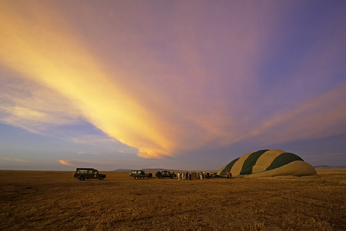 africa hotairballoon safari serengetinationalpark sunrise tanzania