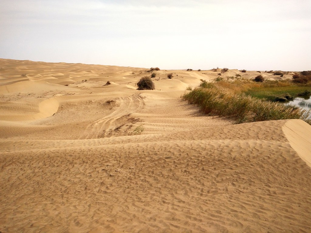 Por la cuenca del Deriya. Desierto de Taklamakán. China