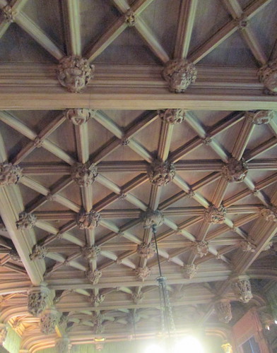 Abbotsford Library Ceiling 2
