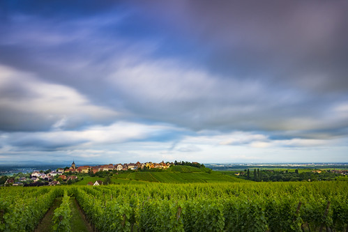 Zellenberg, Alsace by Lukasz Lukomski, Typical landscape - brilliant place, one of my favourite holidays!france europe zellenberg alsace la