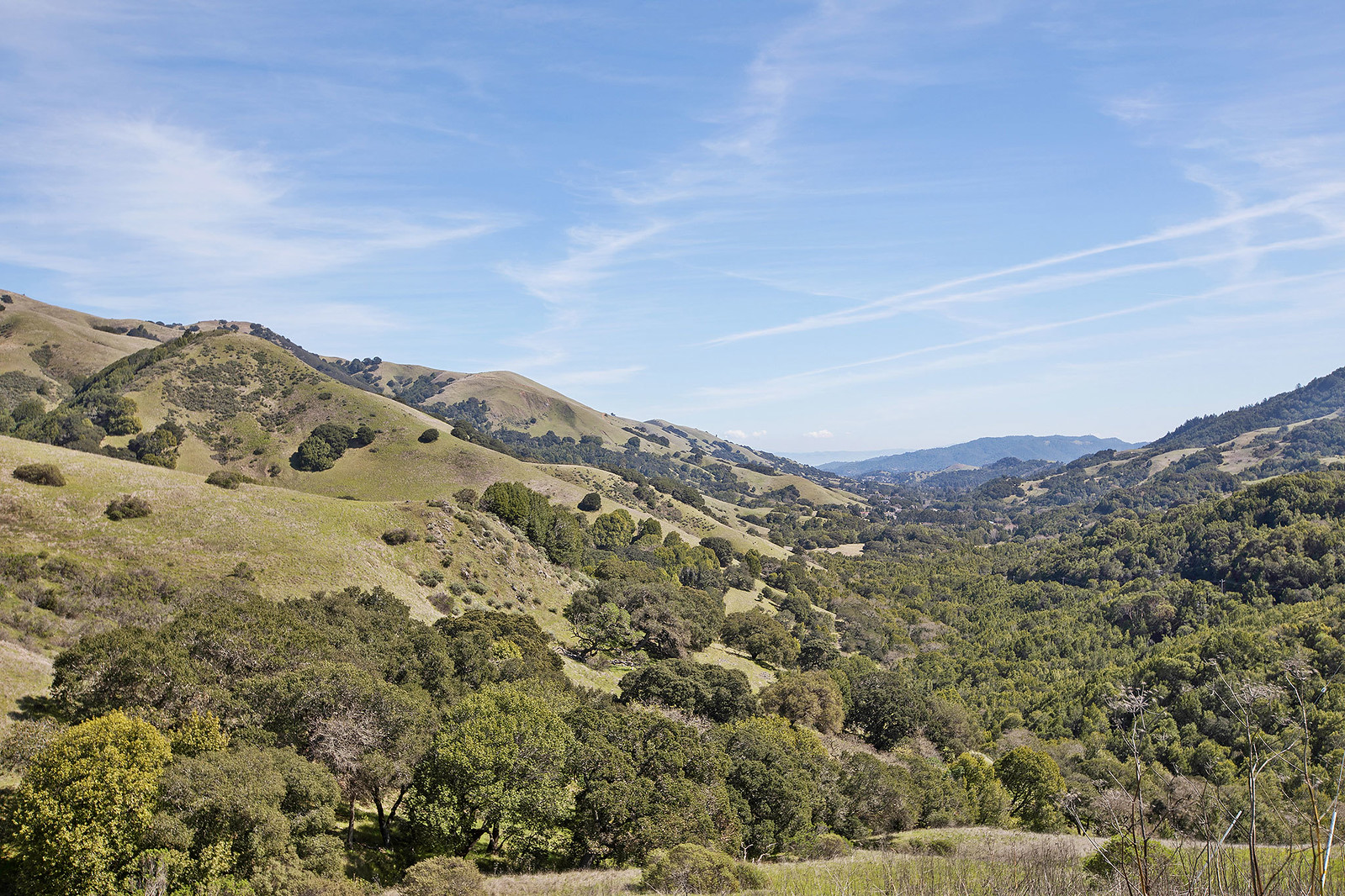 Cover Image for 5675 Lucas Valley Road presented by Sherry Ramzi