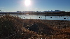 2018 Duck Hunting Dec AZ