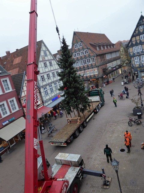 Weihnachtsbaum aufstellen / Christmas tree is coming (2)