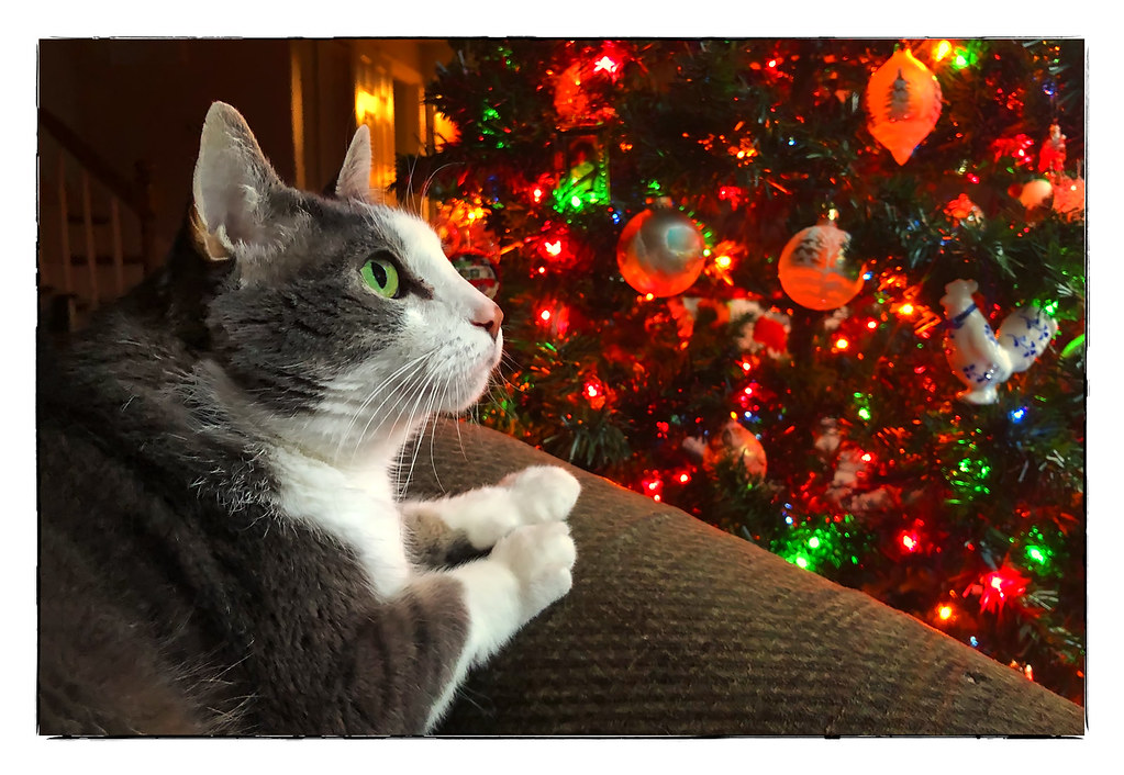 Contemplating the Wonder of Christmas...