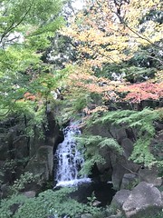 徳川園 Tokugawa Garden