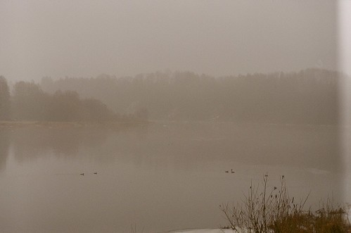 fog ducks river nemunas lietuva lithuania birštonas sanatorija zenit film analog