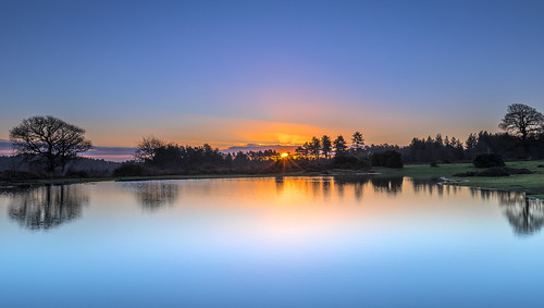 landscape newforest tree sunrise sun sunburst mogshade pond reflection water