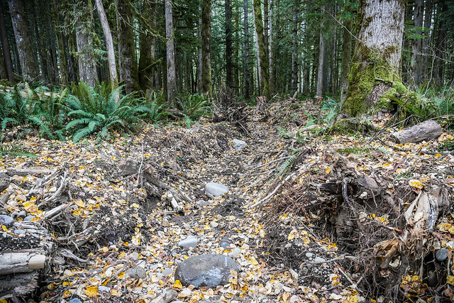 Salmon River wood jam & side channel restoration project at Wildwood