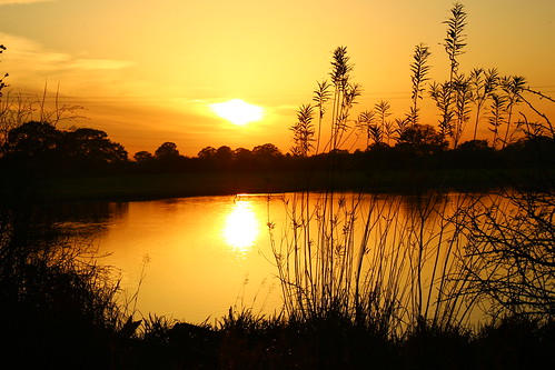 europe england cheshire outdoor nature beauty lake simplysuperb sunlight sunset silhouettes greatphotographers
