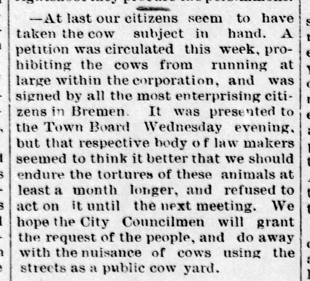 1889 - cows still a menace - Enquirer - 9 Feb 1889