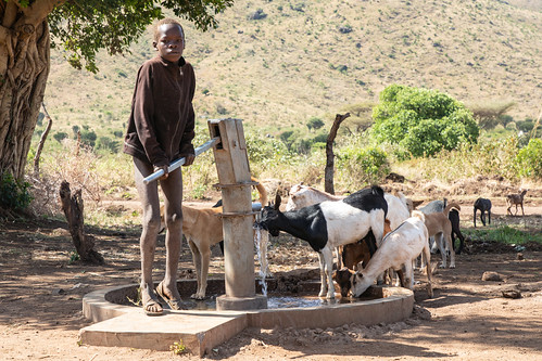 cattleboy africa afrika uganda oeganda boy child cattle goats water drinking waterpump