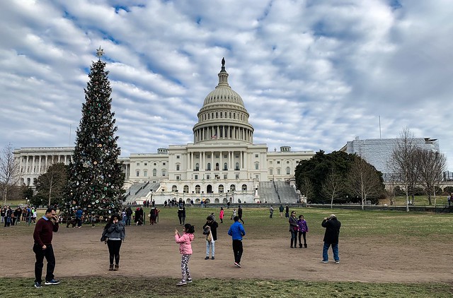 2018 U.S. Capitol Christmas Tree from the Willamette National Forest in Oregon