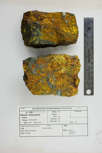 Chalcopyrite with Garnet, Magnetite, and Pyroxene