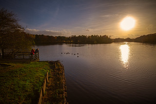 watching the geese as afternoon sunset colours the loch, Haddo House & gardens, Methlick, Aberdeenshire, Scotland