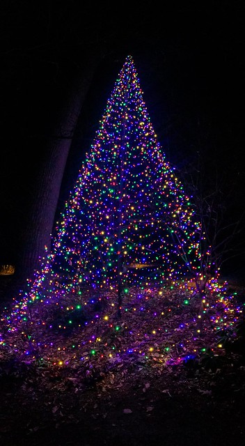 Longwood Gardens Christmas Lights