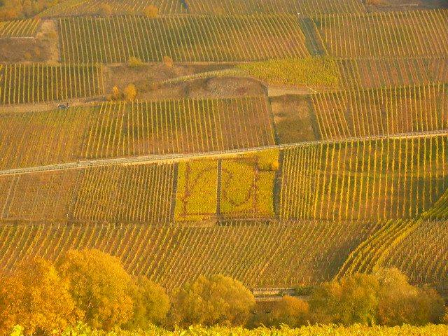 vineyard art