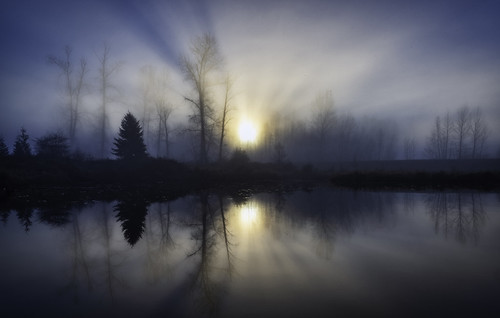 morning foggy pond water landscape meadow park reflections sunrays silhouette wideshot moody forest serene