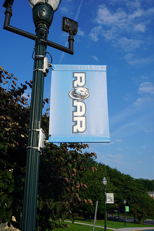 Harrisburg-HS---Pole-Banner-Blue