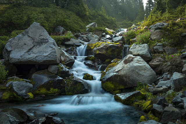 Mt Rainier Seattle Park Stream