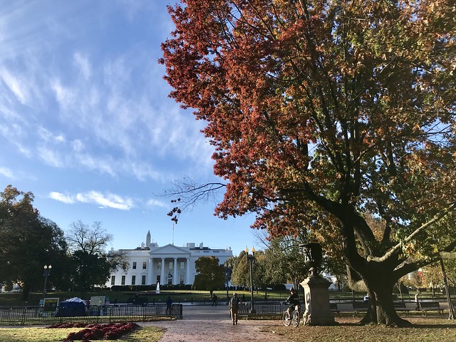pretty fall morning at the White House