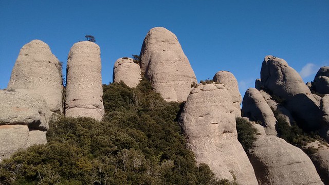 IMG-20190127-WA0062