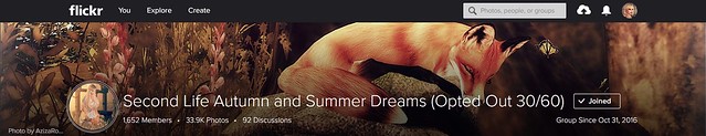 Thank you so much for choosing my picture as group cover for ,Second Life Autumn and Summer Dreams ♥