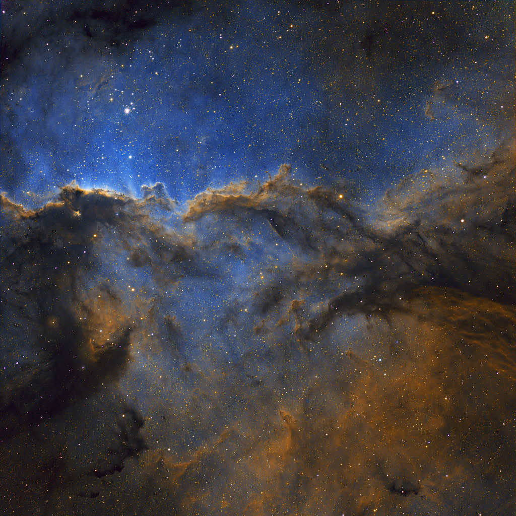 Shinkan jorden Arbejdsgiver NGC 6188: The Dragons of Ara | Dark shapes with bright edges… | Flickr