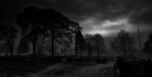 scotland blackandwhite monochrome trees landscape outdoor outside fog