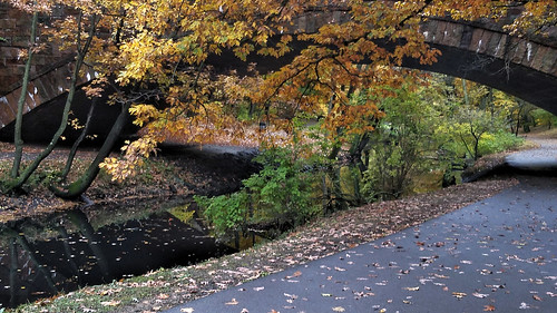 Longwood Avenue Bridge in the Fall 3