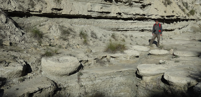 Megasismitas en depósitos lacustres - Rambla de los Pilares, Castilléjar (Granada, España) - 11