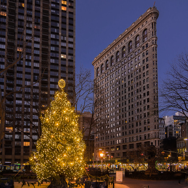 Madison Square Park Christmas Tree and the Flatiron Building