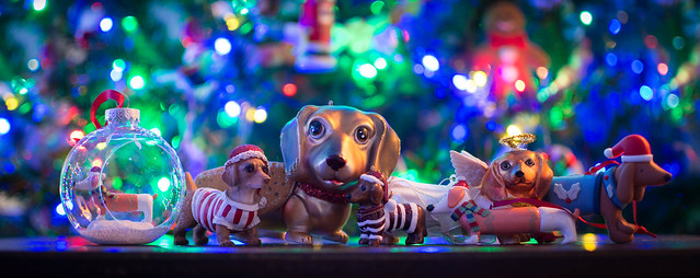 Dachshund Ornament collection