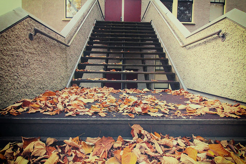 leafy stairway