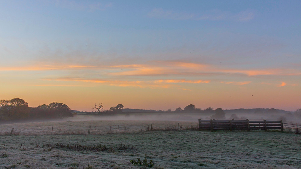 Loddon Norfolk early mist-frost 1