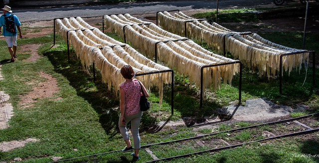 2018 - Mexico - Hacienda Sotuta de Peón - Henequen Drying Racks