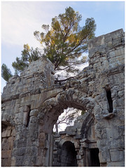 Le Temple de Diane à Nîmes
