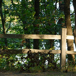 Fence Shadowplay Port Crescent State Park, at the tip of Michigan&#039;s thumb. 8/24/2015.
