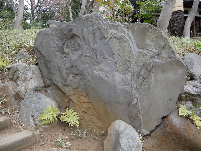 P1110714 garden rock