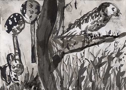 animal drawing ink on paper animals  רישום עכשווי ישראלי מודרני  drawings by israeli painter raphael perez