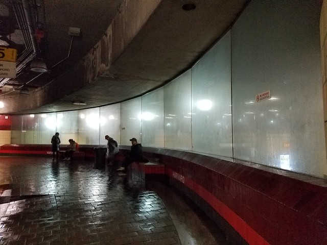 1-24-2019: Foggy windows make the bus platform even more ominous. Cambridge, MA
